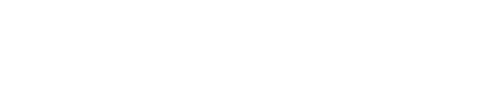 Data Intel International